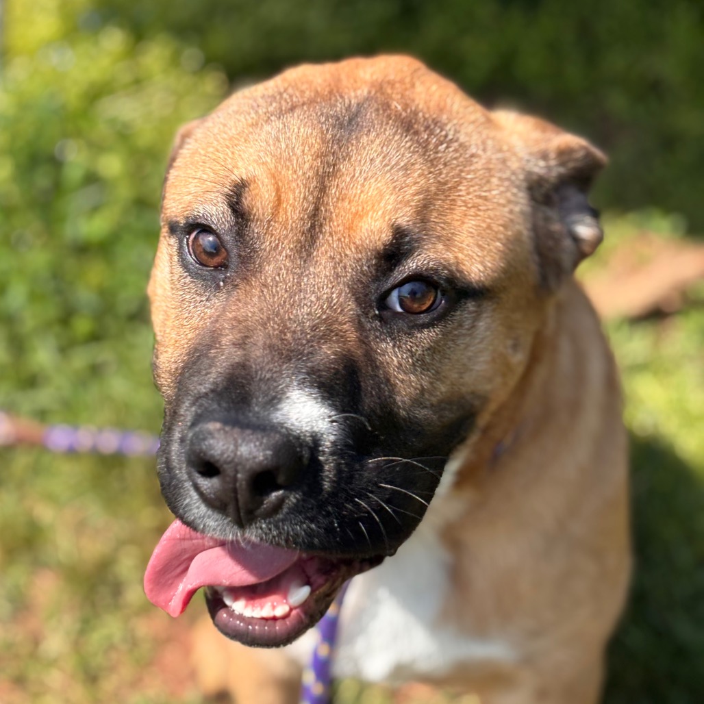 d28714f31baca3ca8f2be3ec3c3fa00e