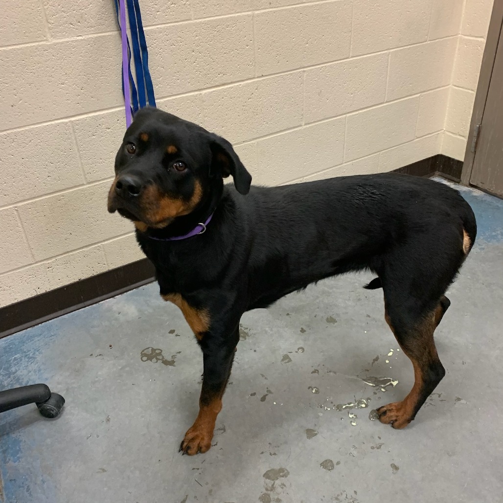 Charity — thumbnail 6