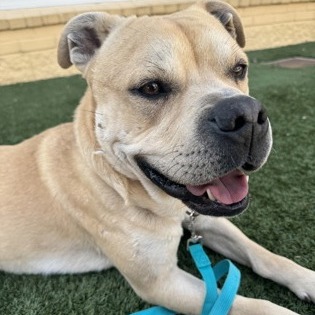 Smudge — thumbnail 11