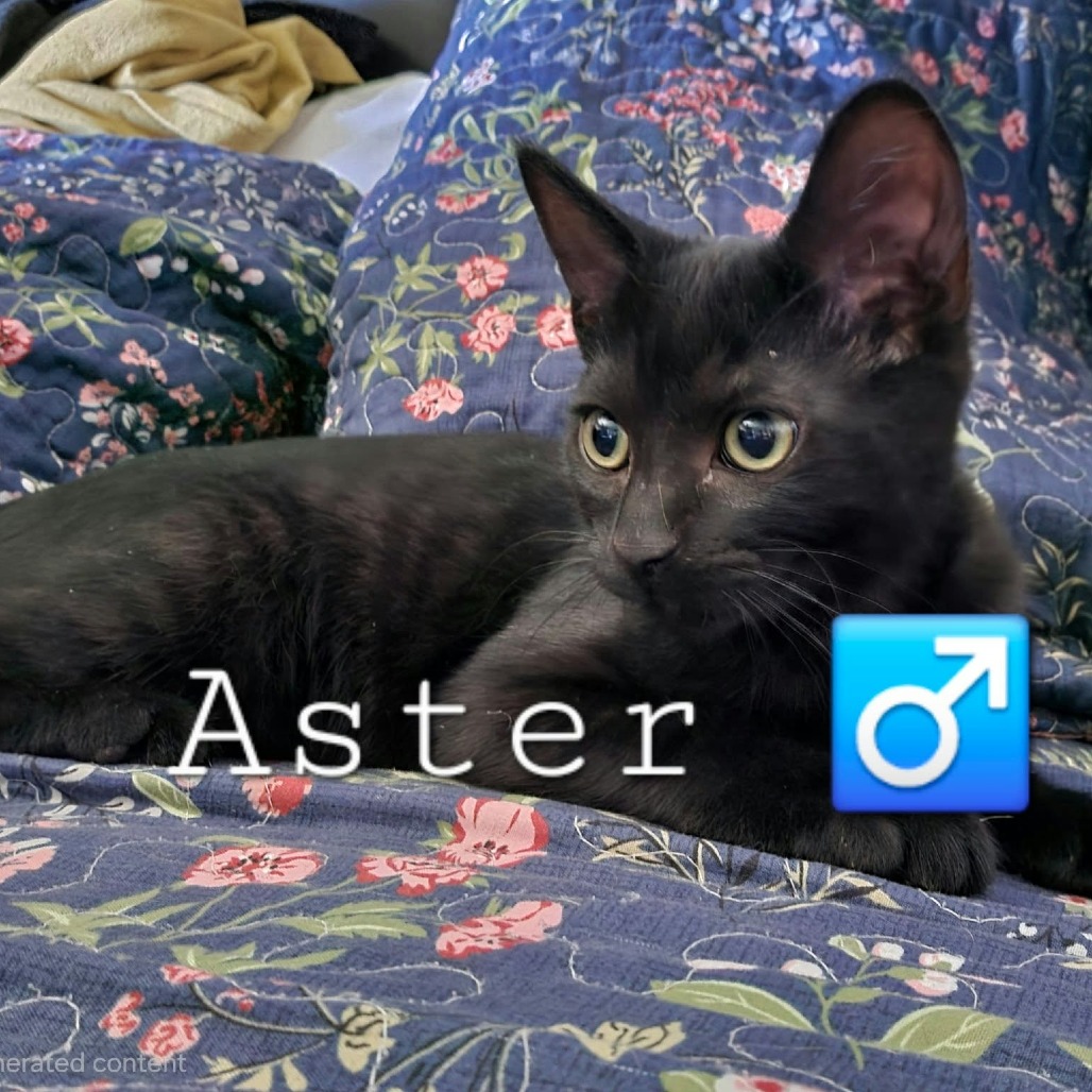 ASTER