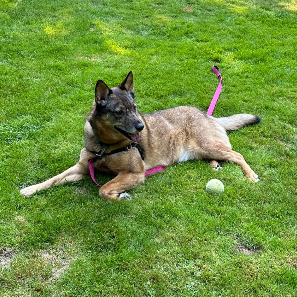 Kaia Bear — thumbnail 4