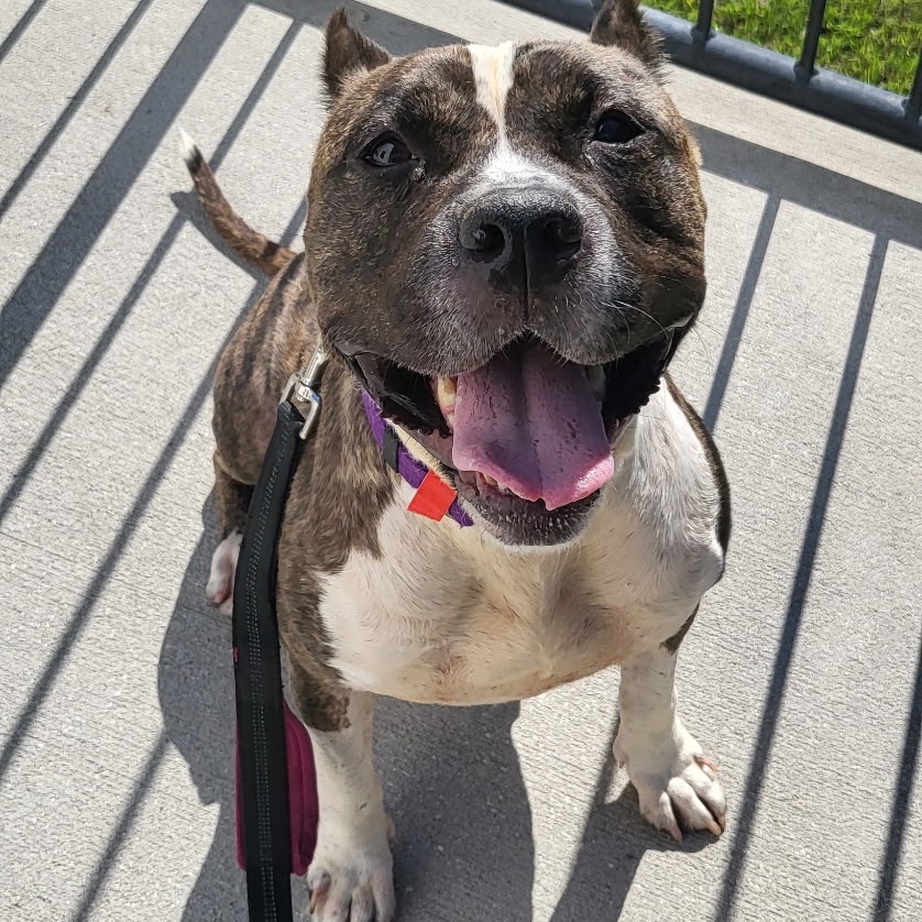 Coco