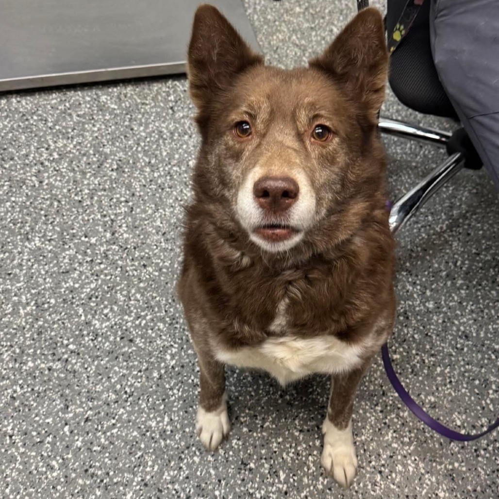 Rain — thumbnail 2