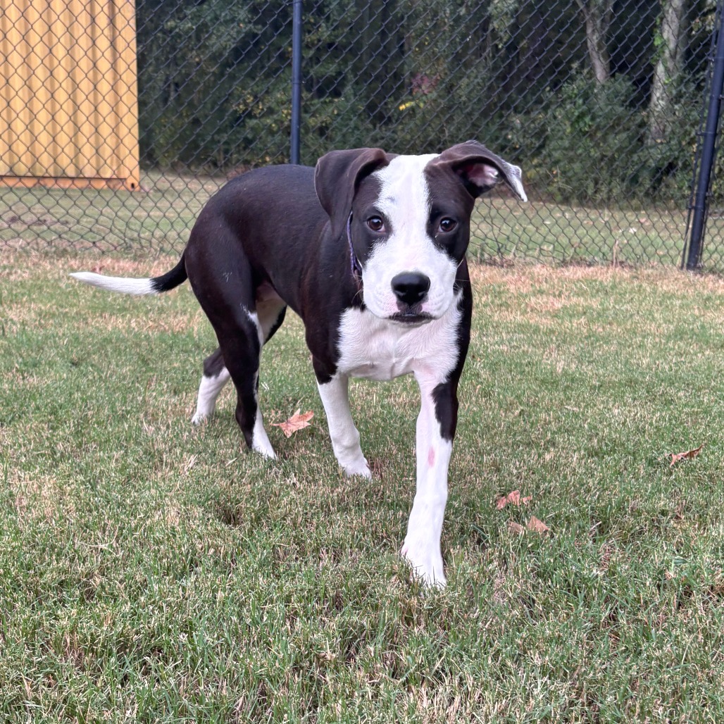 Winnie, photo 2