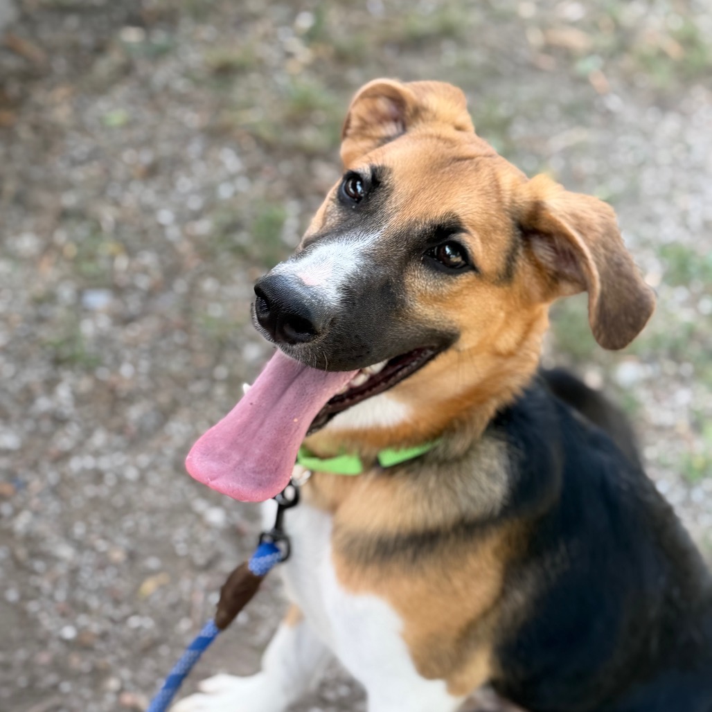 Loki photo 6