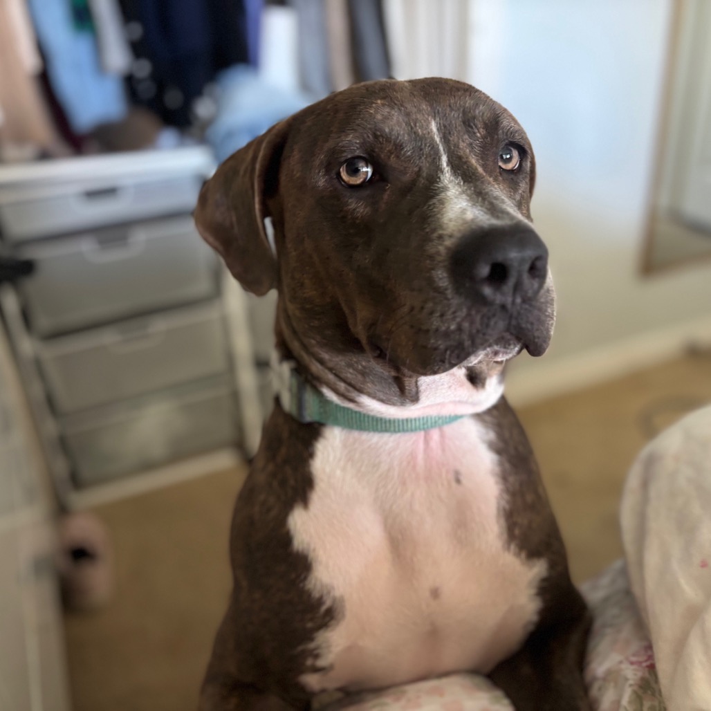 James — thumbnail 2