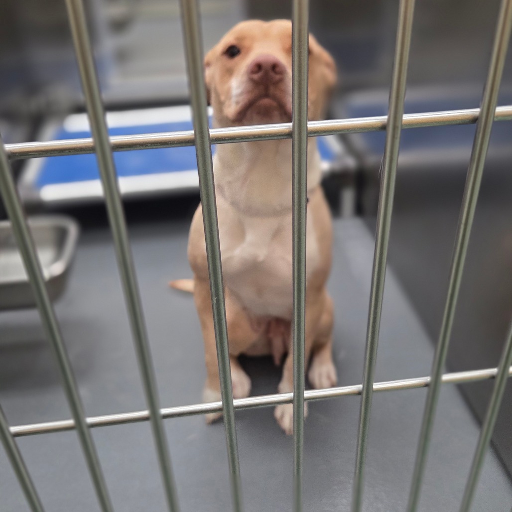 MARLEY — thumbnail 7