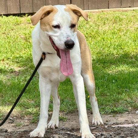Photo of Buster