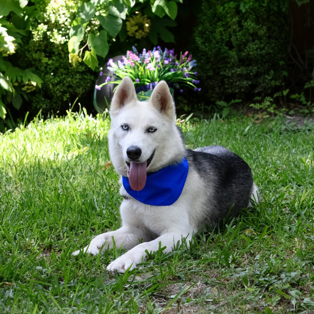 Photo of Reno "Reba"