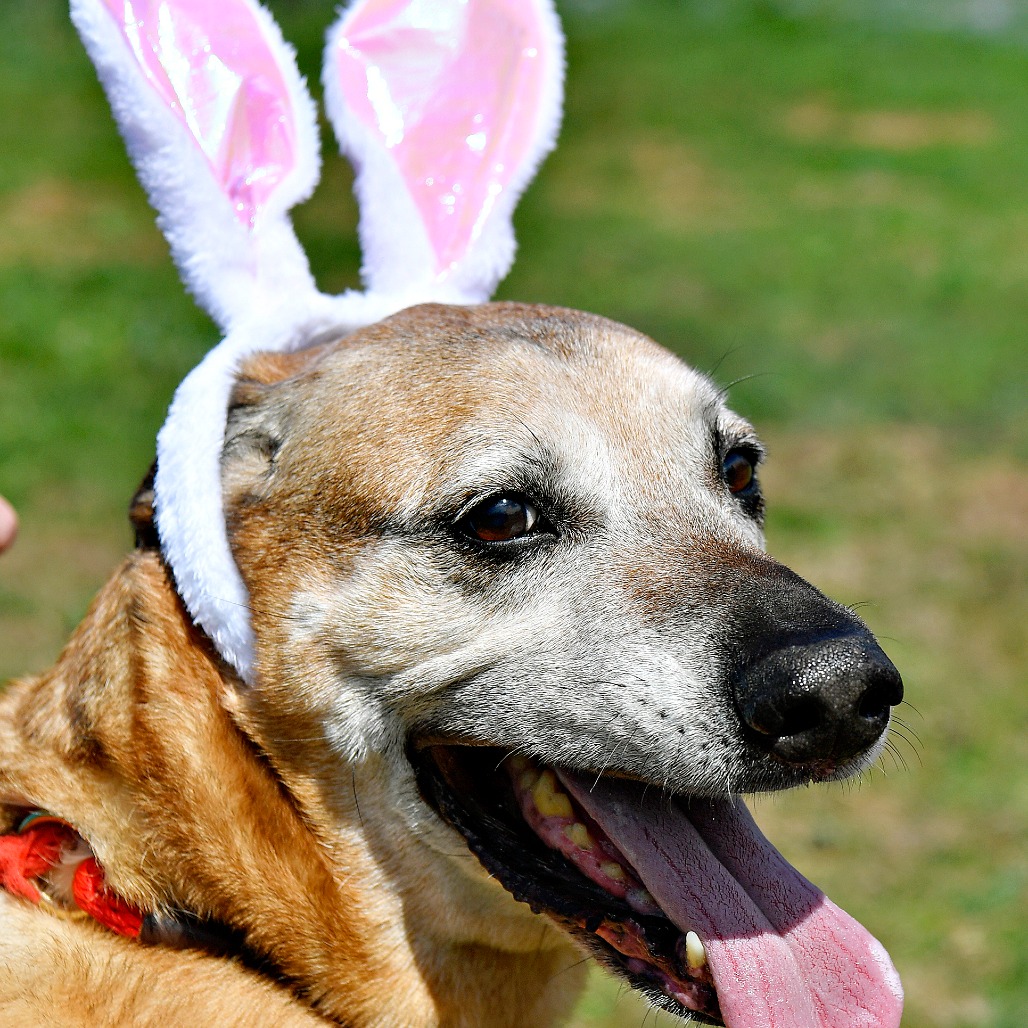 254492f3b0c7f51fddcd9475f6ce7e61