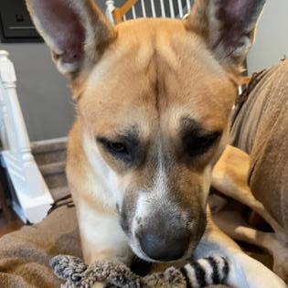 Duffy — thumbnail 5