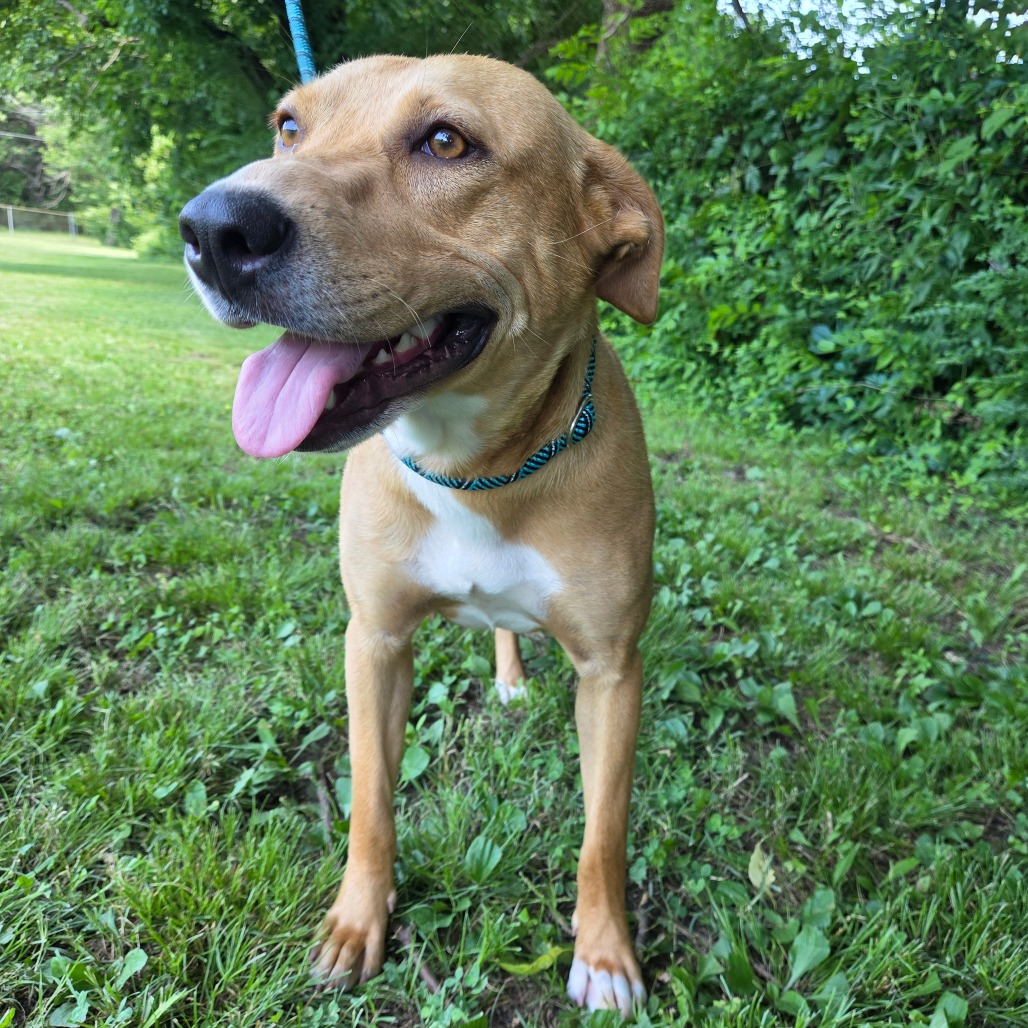 Luna photo 3