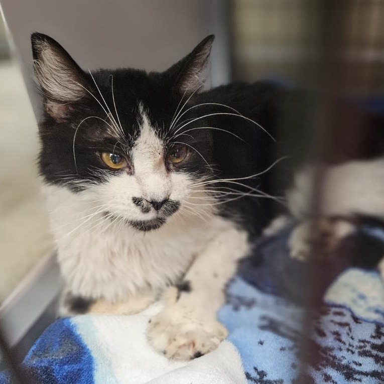 A#139a's preview photo