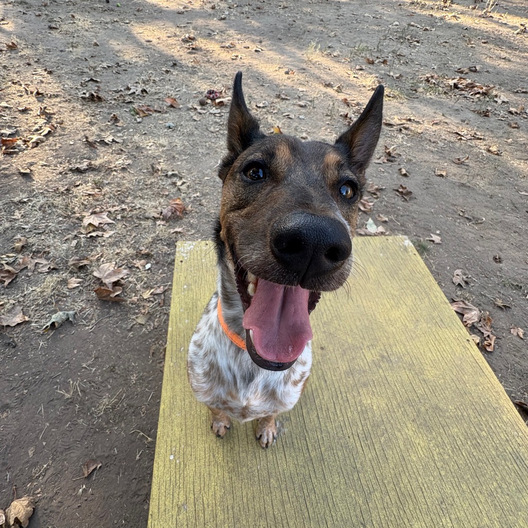Cash, photo 38