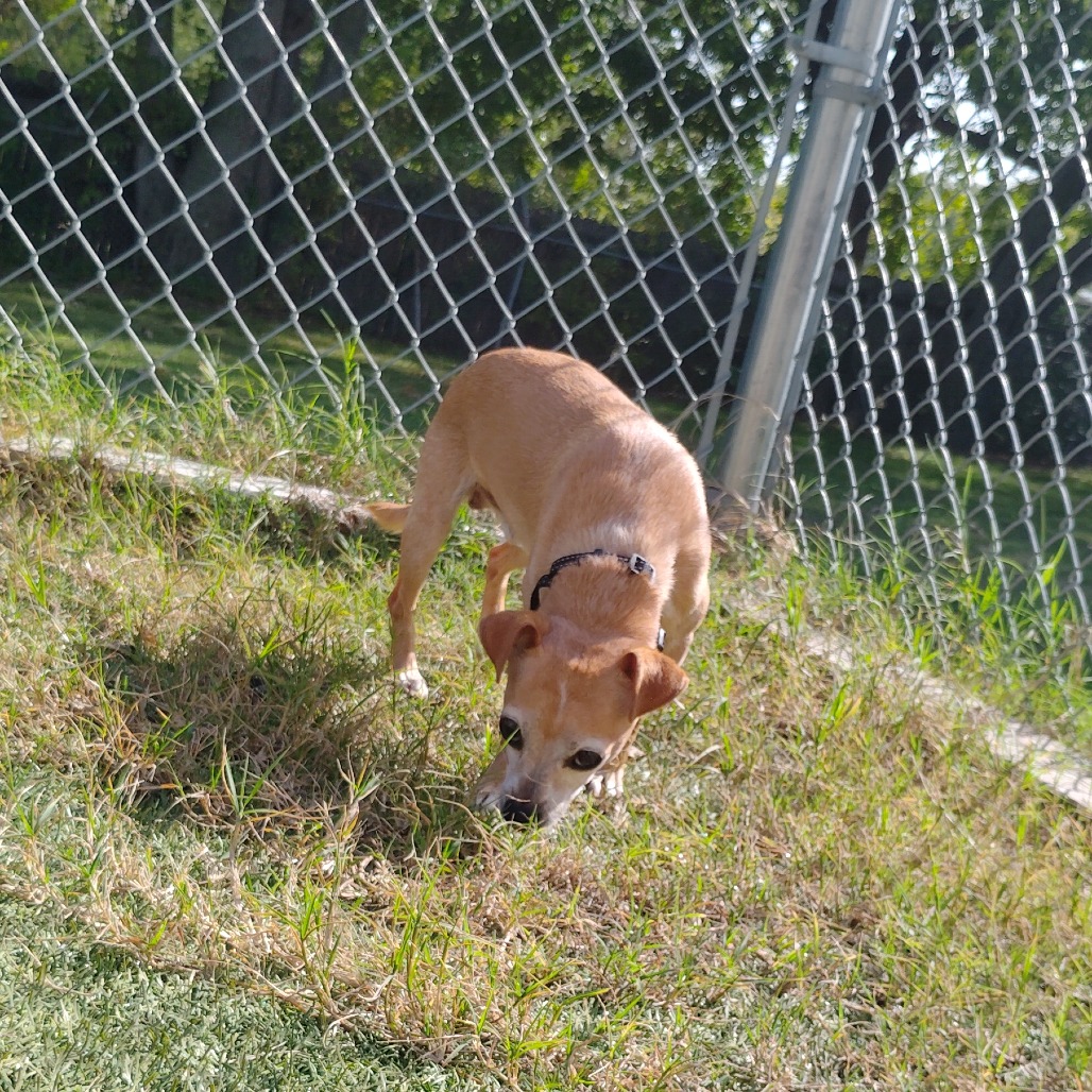 Tink photo 4