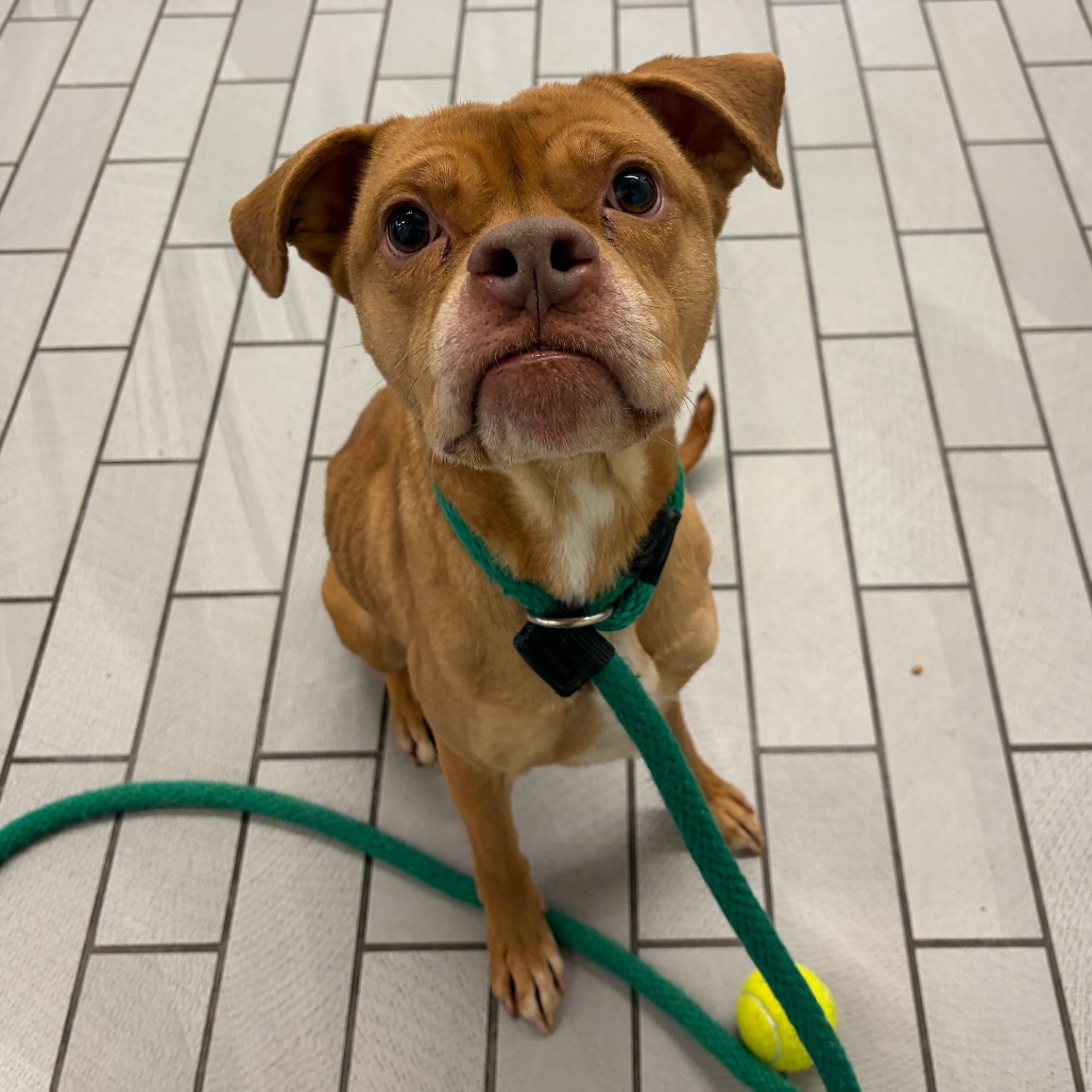 Nani — thumbnail 3