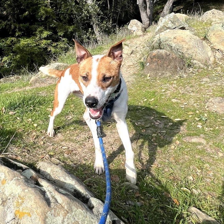 Lucille — thumbnail 5