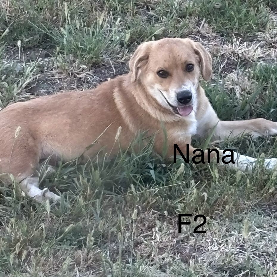 Nana