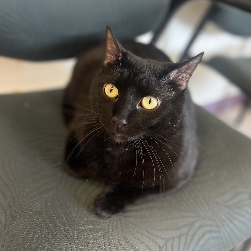 Binxy