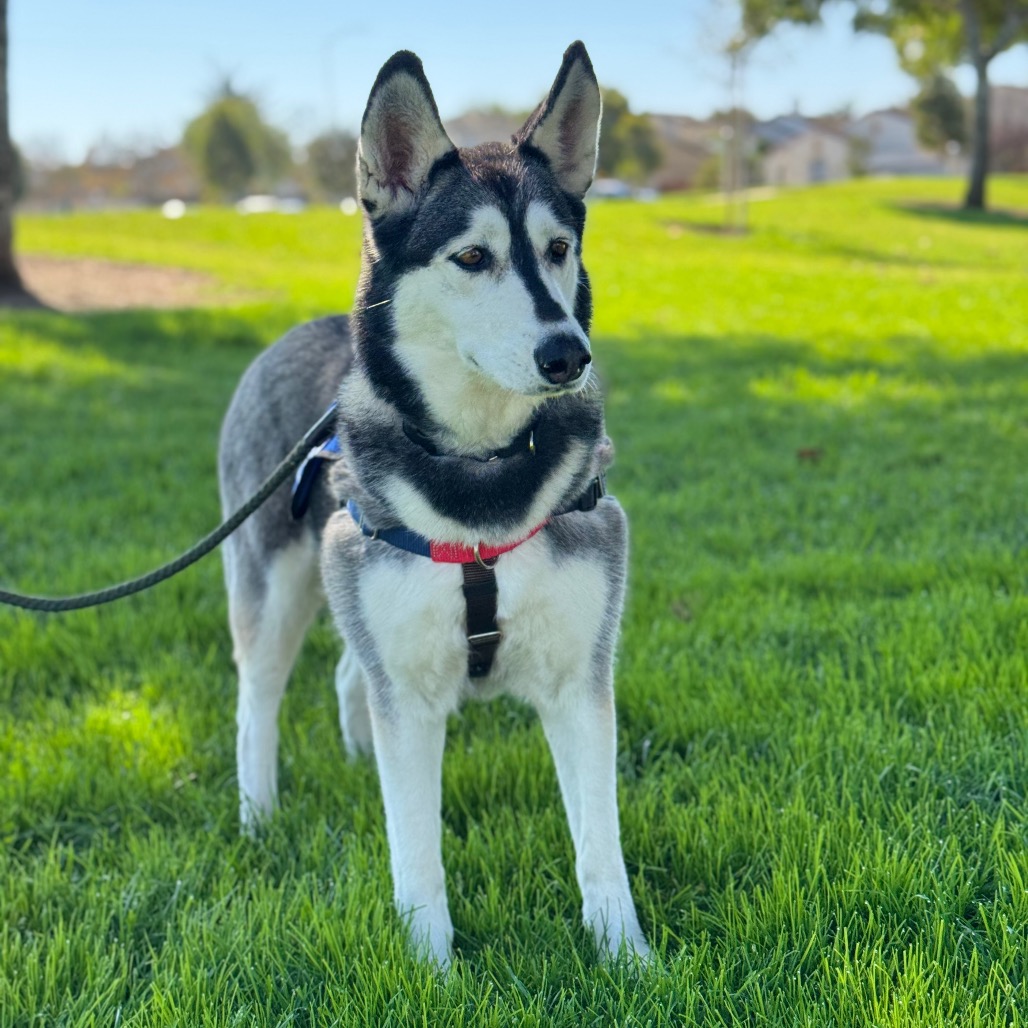 Tundra, photo 18