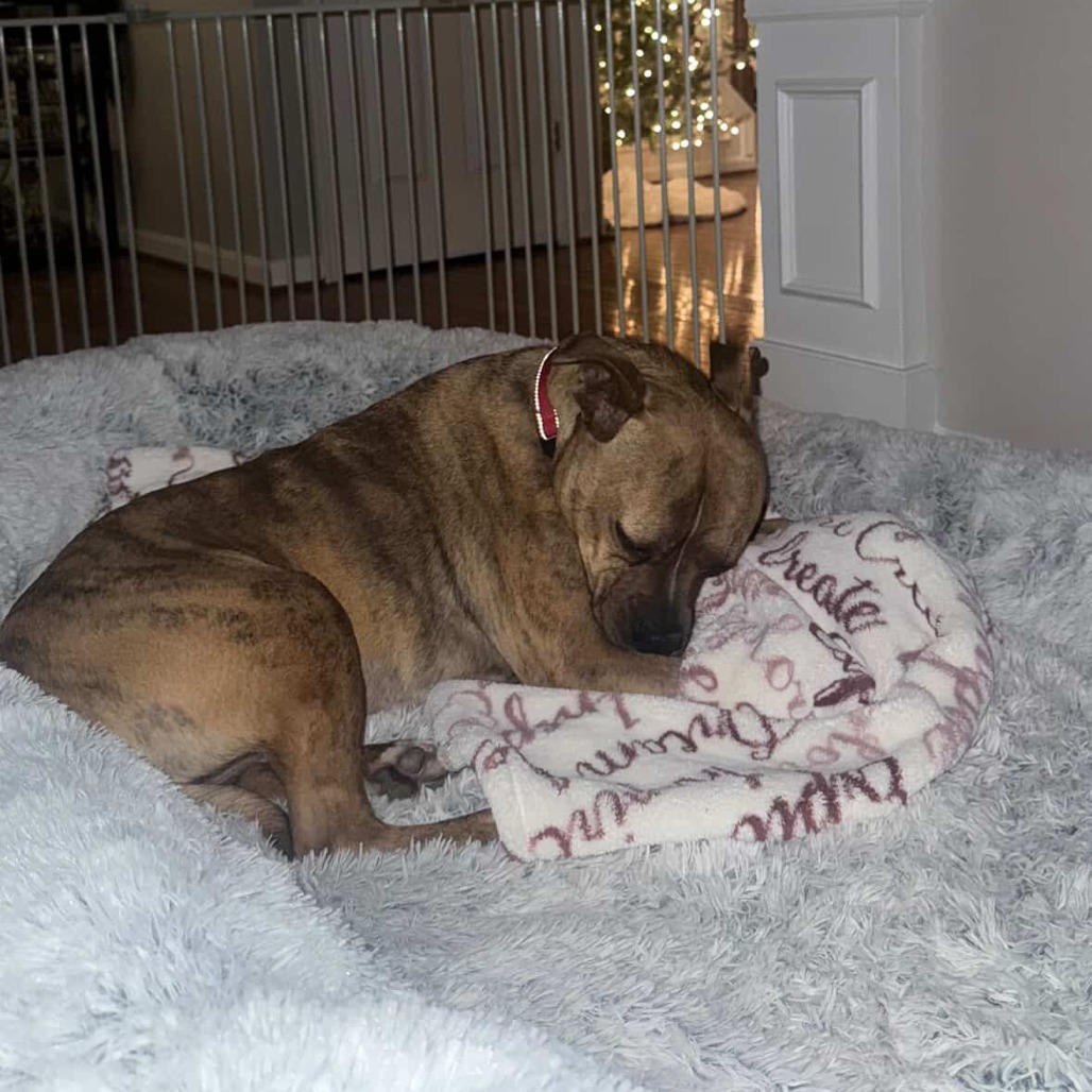 Zeus, additional photo