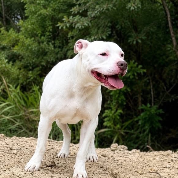 Photo of Penelope"Pinky"