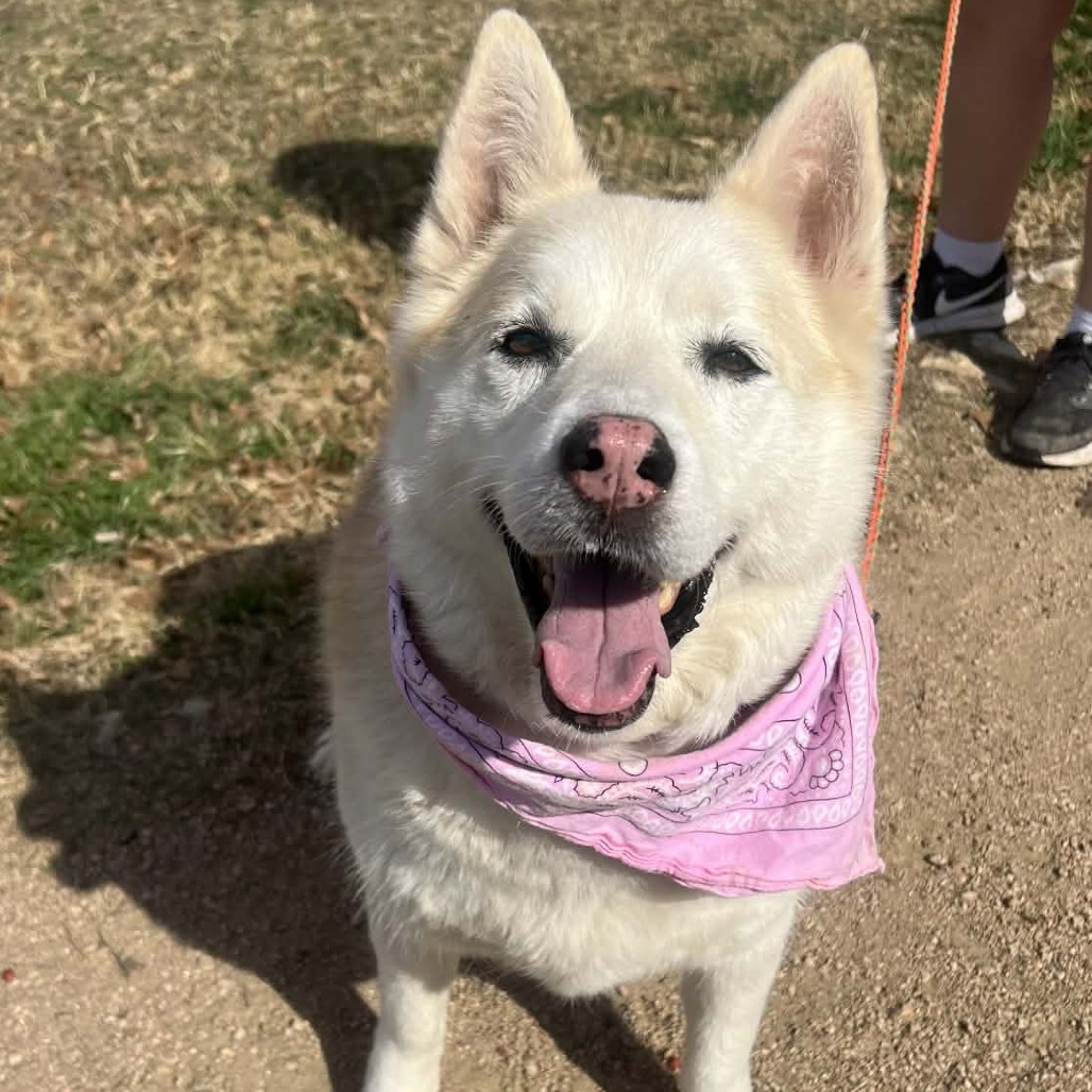 Stormy Weather — thumbnail 9