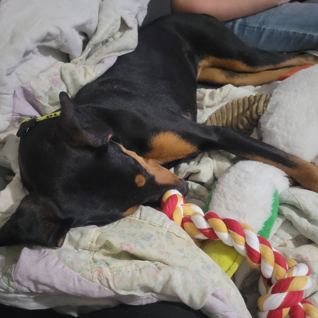 Venus — thumbnail 10