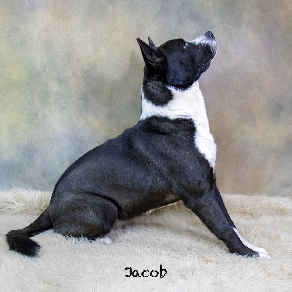 Jacob