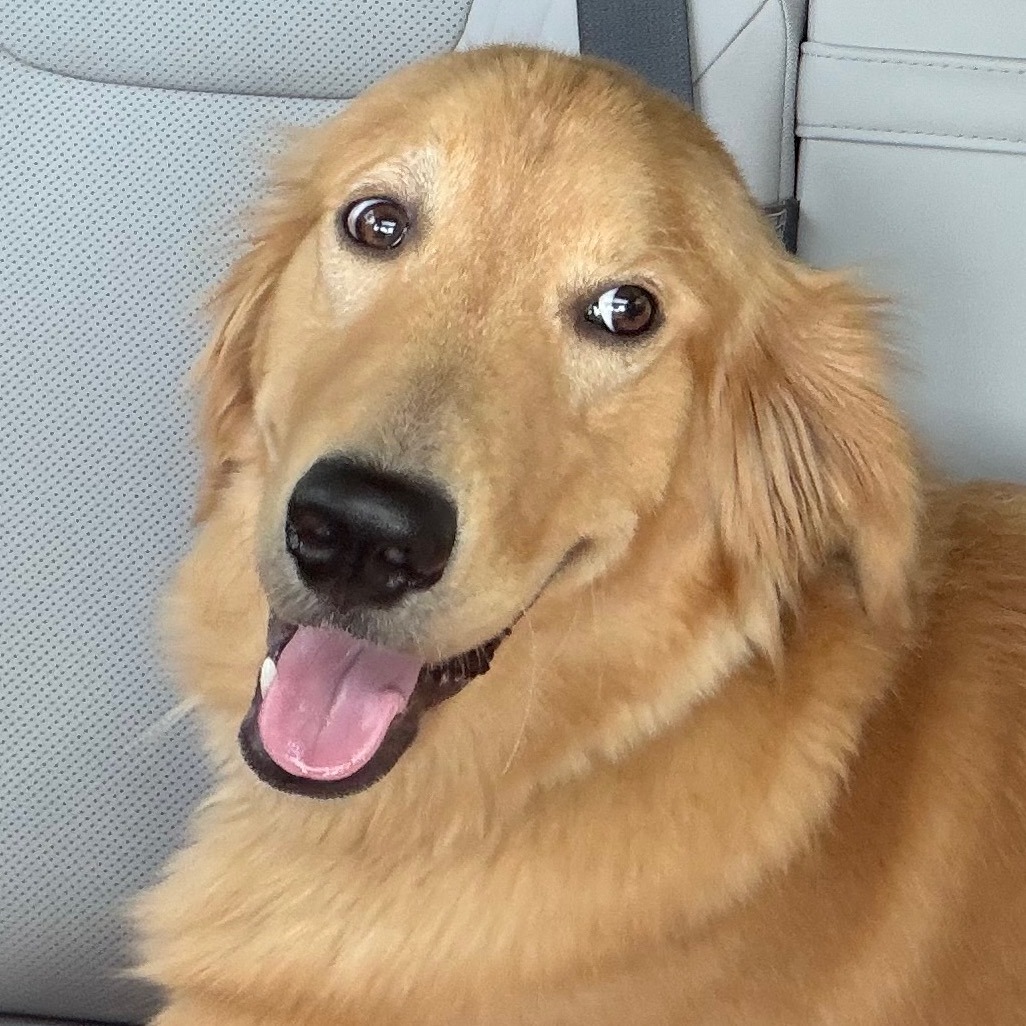 Cooper