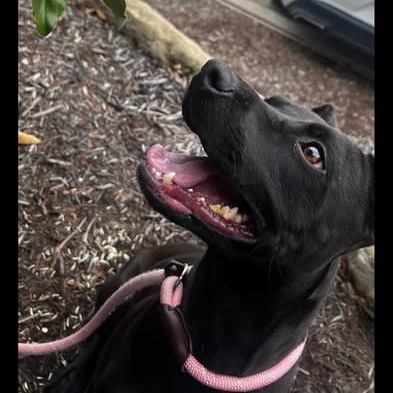 Photo of Hazel