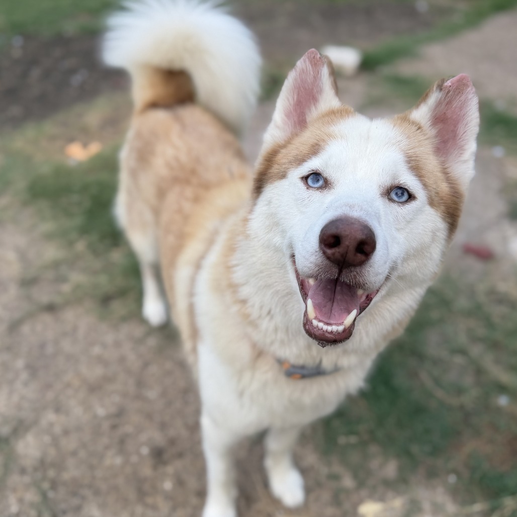 Zeus, photo 1 of 1