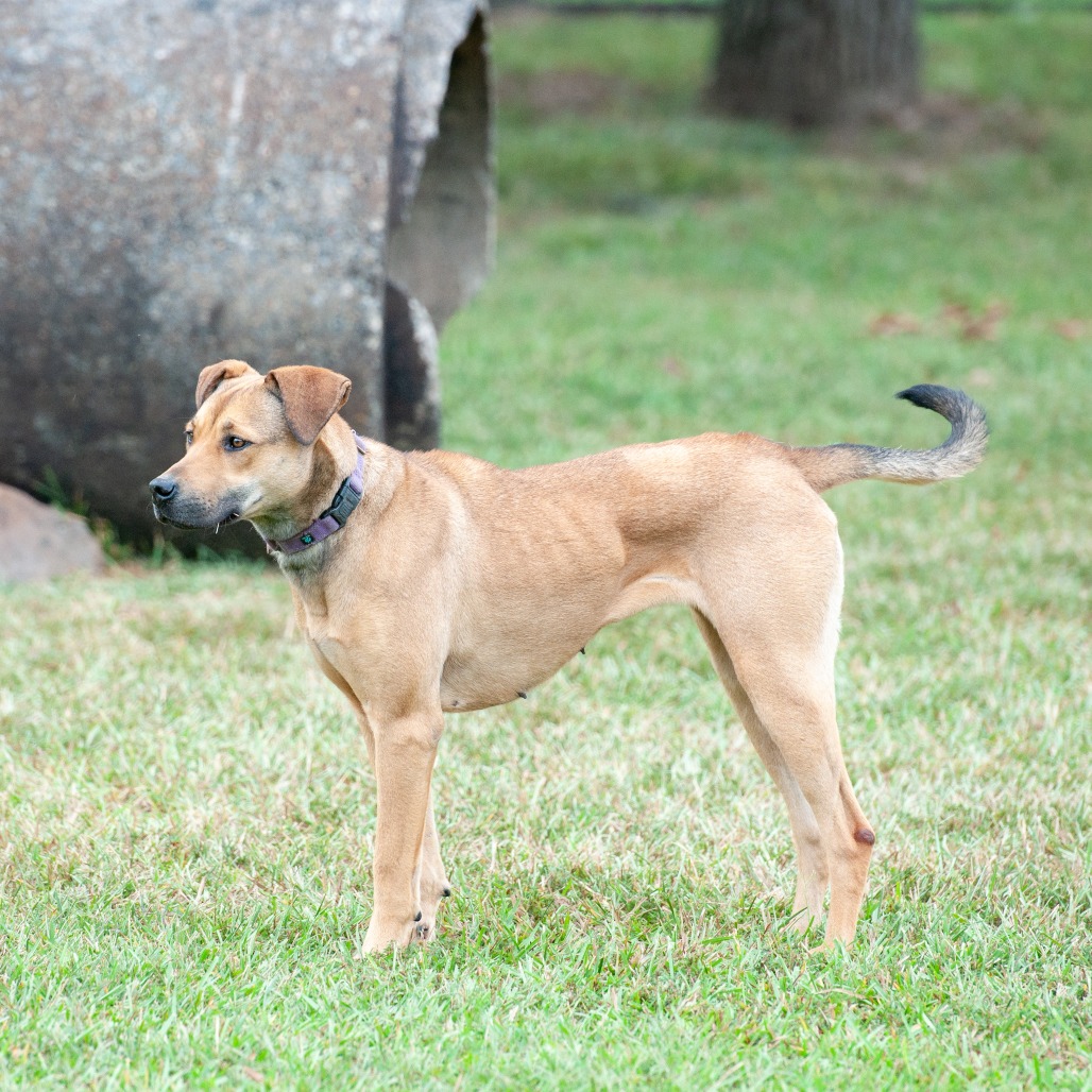 Perdita, photo 8