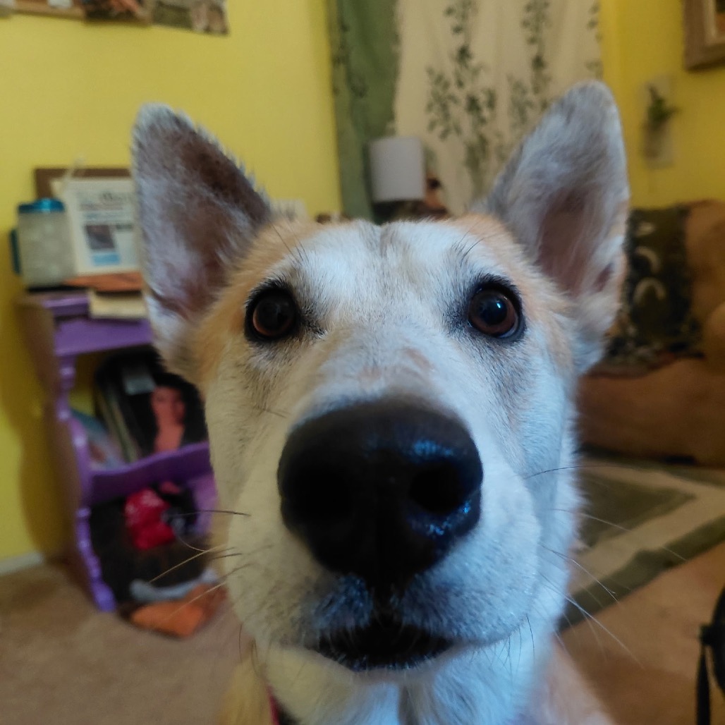 Candy, photo 20