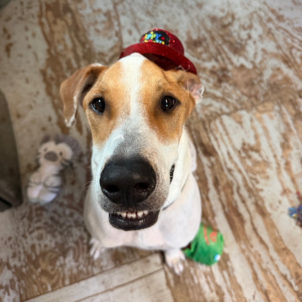 DIEGO JR., photo 21