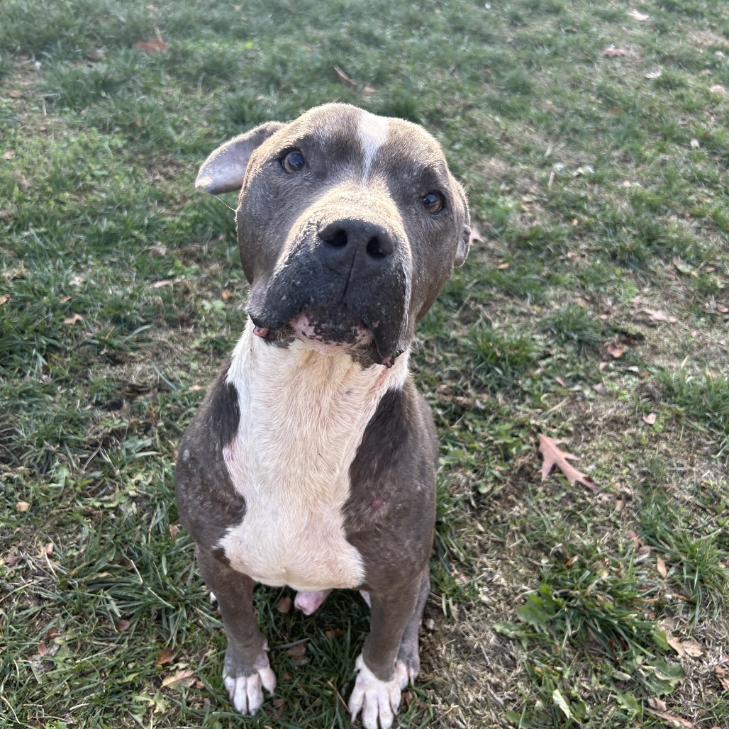 Eeyore — thumbnail 2