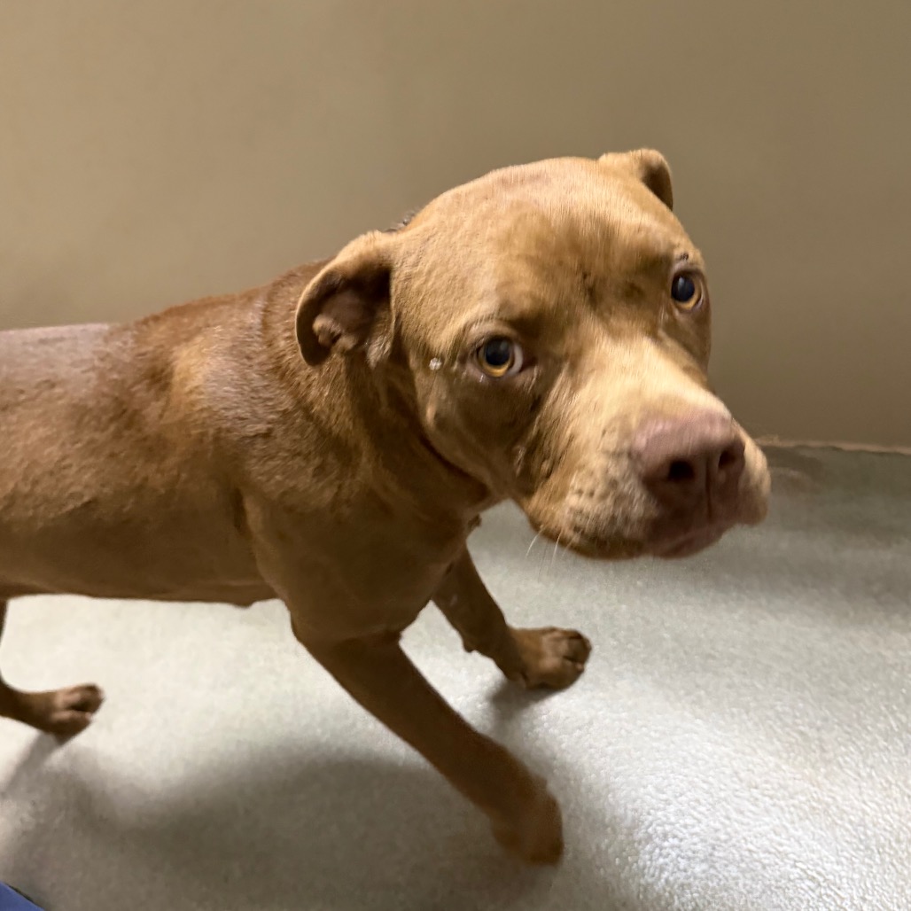 Kennel#24 Nelly's preview photo