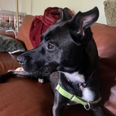 Photo of Chip 21