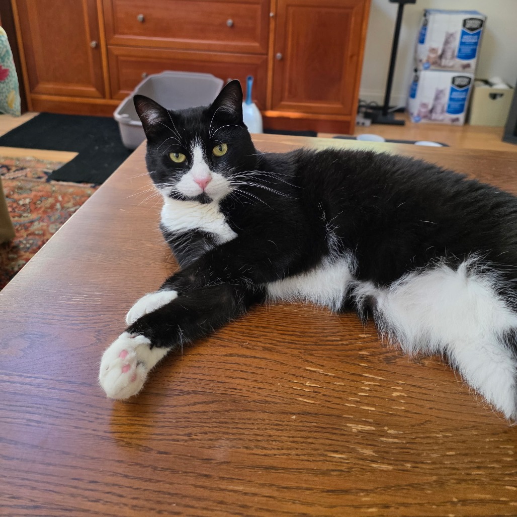 Stash & Bandit, photo 3