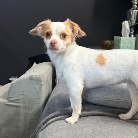Photo of Millie
