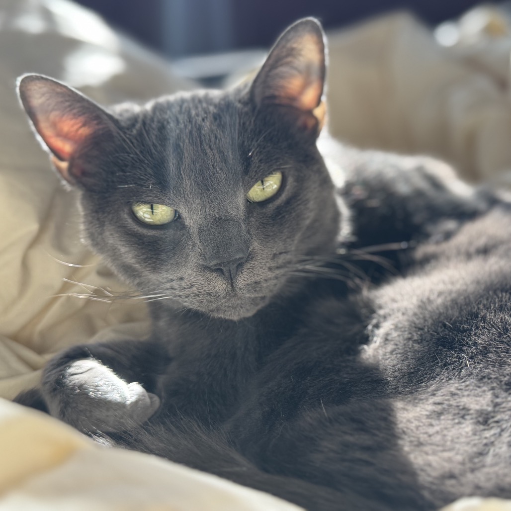 Asher — thumbnail 3