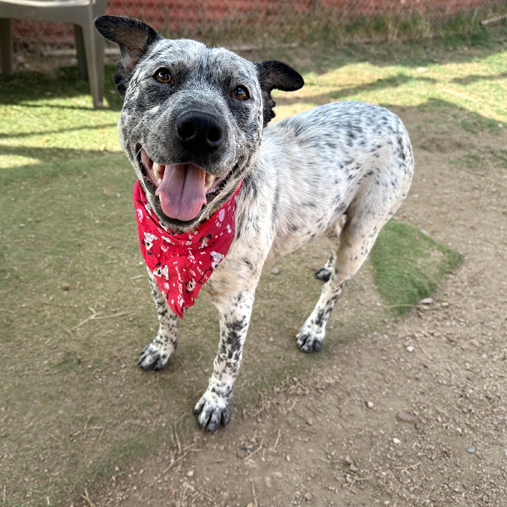 Carl — thumbnail 7