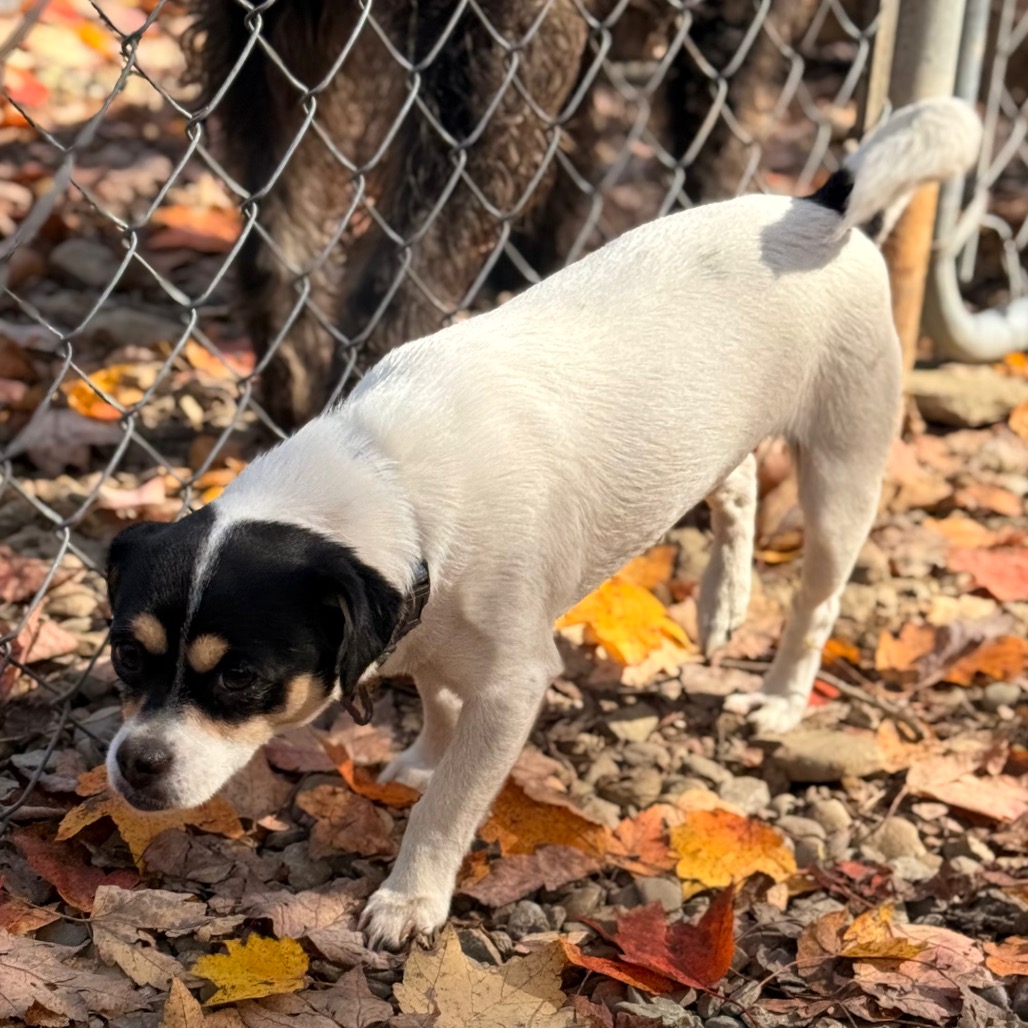 MYA, photo 16