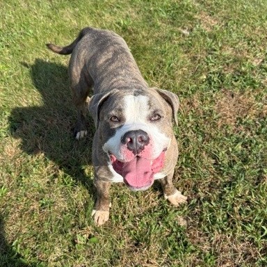 Snoop, photo 9