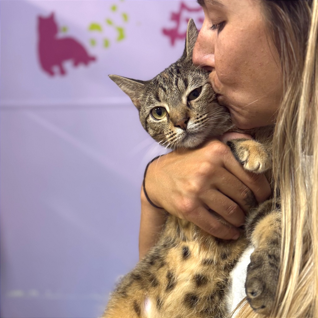 Image of Lady Mormont looking at the camera