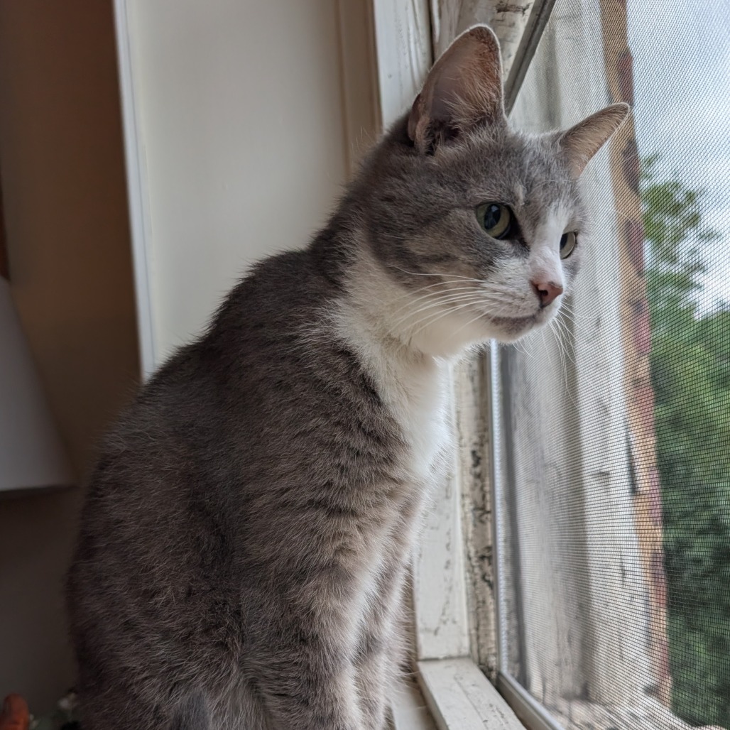 Selene, photo 6