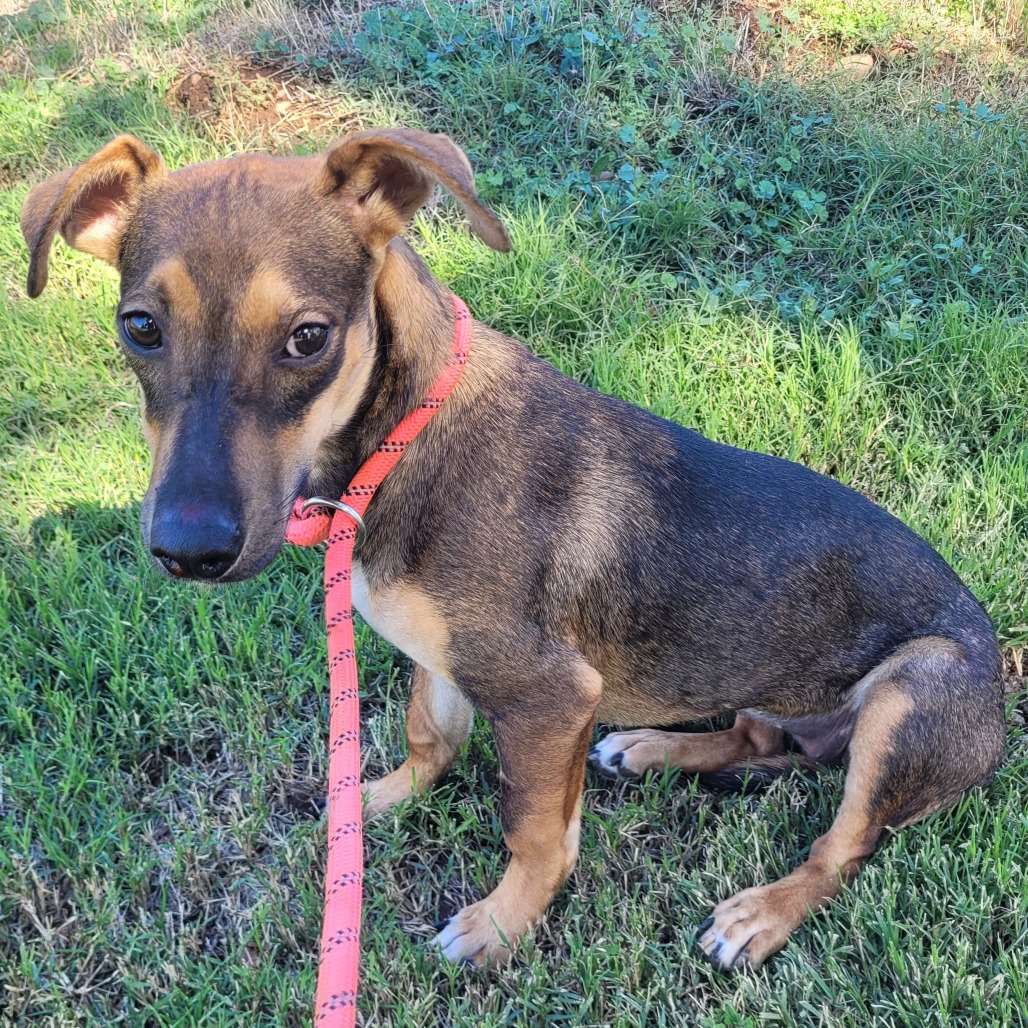 Crystal — thumbnail 3