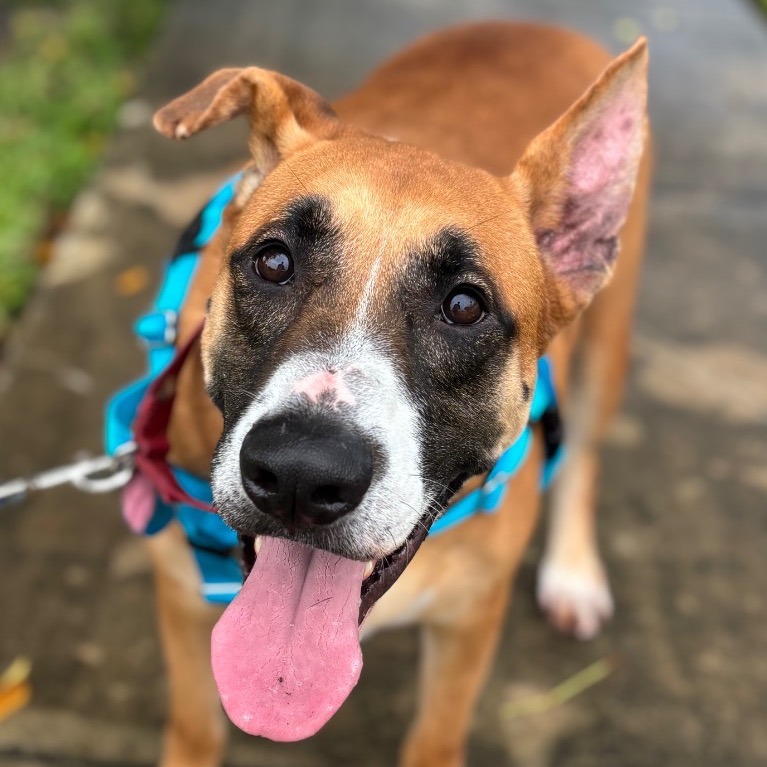 Image of Peele looking at the camera