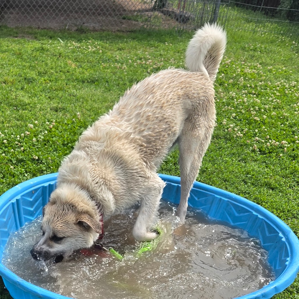 Charlie photo 4