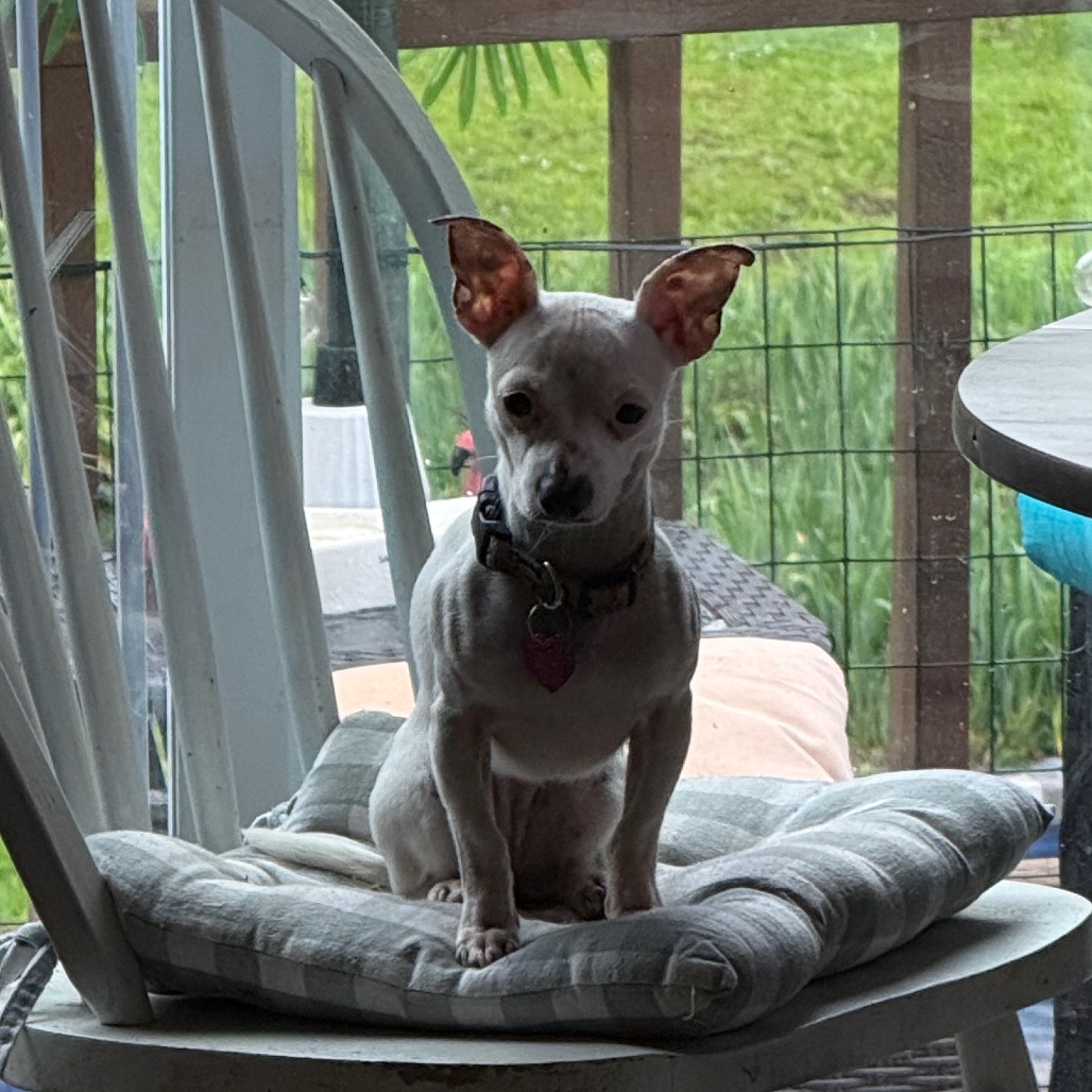 MINNIE, photo 13